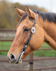 Western Single Ear headstall with brass and blue accents